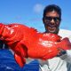 Golden hind grouper or Cephalopholis aurantia - Rod Fishing Club - Rodrigues Island - Mauritius - Indian Ocean