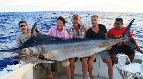 Good black marlin on trolling - Rod Fishing Club - Rodrigues Island - Mauritius - Indian Ocean