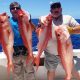 Good for eating... - Rod Fishing Club - Rodrigues Island - Mauritius - Indian Ocean.