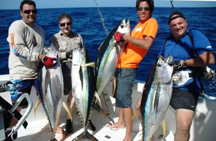 Good yellowfin tunas on trolling - Rod Fishing Club - Rodrigues Island - Mauritius - Indian Ocean