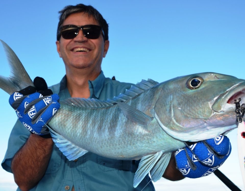 Green jobfish or Aprion virescens - Rod Fishing Club - Rodrigues Island - Mauritius - Indian Ocean