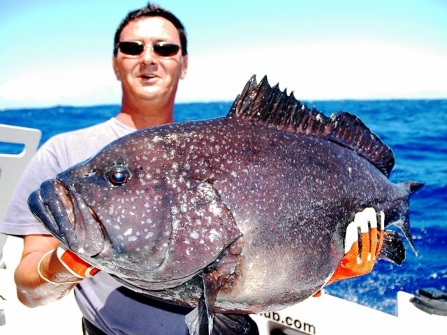 Grouper caught on jigging by Olivier - Rod Fishing Club - Rodrigues Island - Mauritius - Indian Ocean