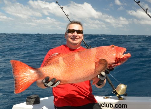 Grouper on jigging - Rod Fishing Club - Rodrigues Island - Mauritius - Indian Ocean