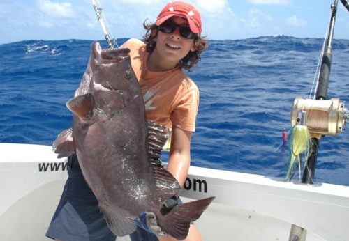 Grouper on jigging - Rod Fishing Club - Rodrigues Island - Mauritius - Indian Ocean