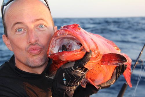 Grouper on jigging - Rod Fishing Club - Rodrigues Island - Mauritius - Indian Ocean