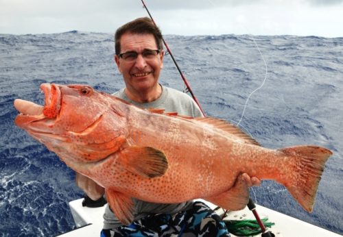 Grouper on jigging by Frans - Rod Fishing Club - Rodrigues Island - Mauritius - Indian Ocean