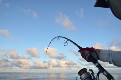 Jigging action - Rod Fishing Club - Rodrigues Island - Mauritius - Indian Ocean