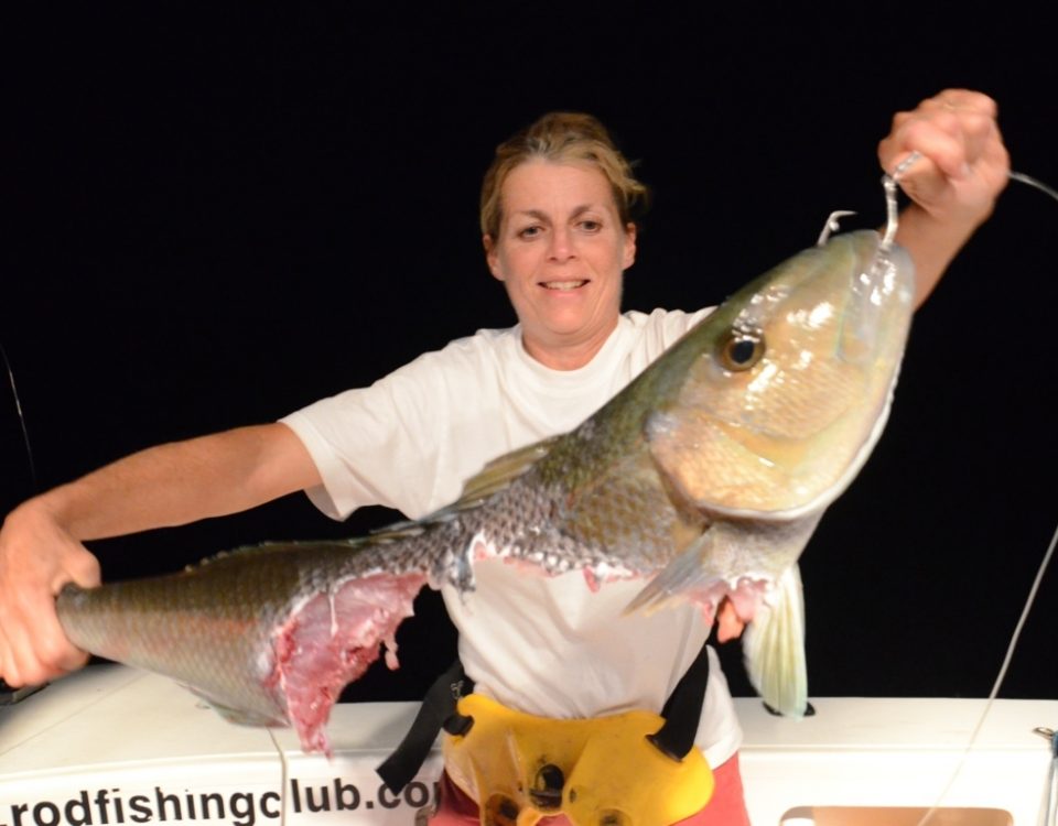 Jobfish eaten by shark - Rod Fishing Club - Rodrigues Island - Mauritius - Indian Ocean