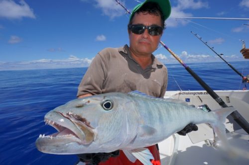 Jobfish on baiting - Rod Fishing Club - Rodrigues Island - Mauritius - Indian Ocean