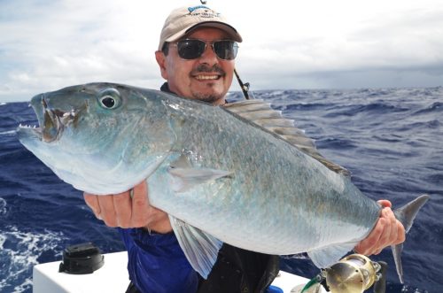 Jobfish on baiting - Rod Fishing Club - Rodrigues Island - Mauritius - Indian Ocean