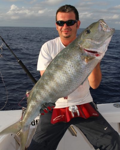 Jobfish on jigging - Rod Fishing Club - Rodrigues Island - Mauritius - Indian Ocean