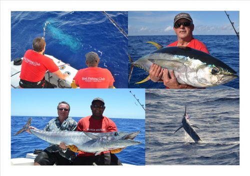 Marlin, yellowfin tuna and wahoo - Rod Fishing Club - Rodrigues Island - Mauritius - Indian Ocean