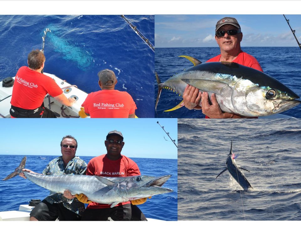 Marlin, yellowfin tuna and wahoo - Rod Fishing Club - Rodrigues Island - Mauritius - Indian Ocean