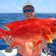 Moontail sea bass or Variola luti - Rod Fishing Club - Rodrigues Island - Mauritius - Indian Ocean