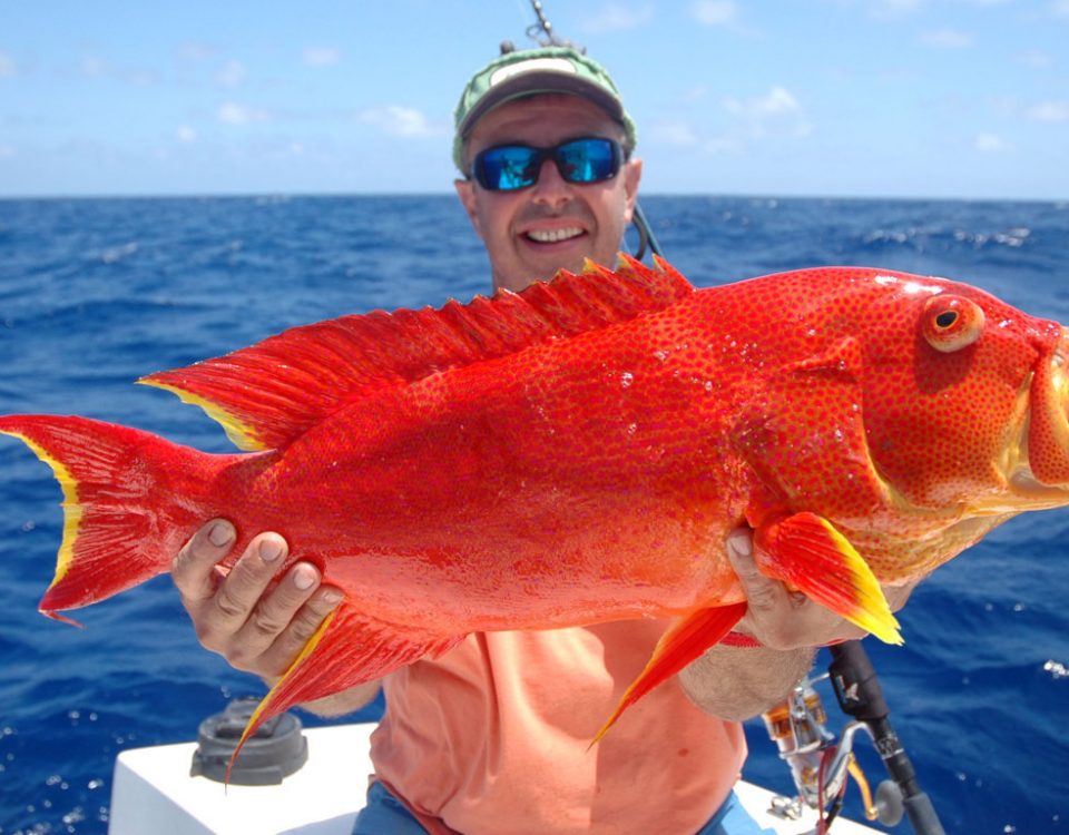 Moontail sea bass or Variola luti - Rod Fishing Club - Rodrigues Island - Mauritius - Indian Ocean