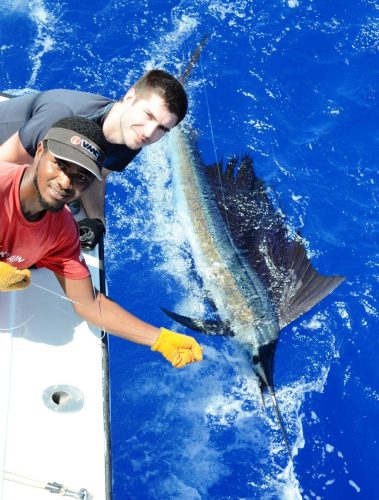 Nice 70lbs Sailfish released for Kevin - Rod Fishing Club - Rodrigues Island - Mauritius - Indian Ocean