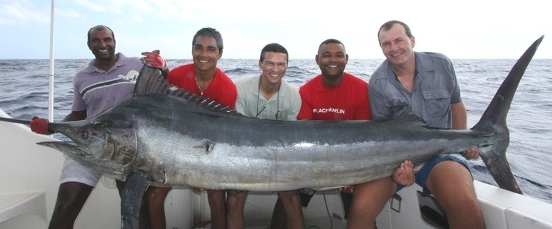 Nice black marlin caught on trolling - Rod Fishing Club - Rodrigues Island - Mauritius - Indian Ocean