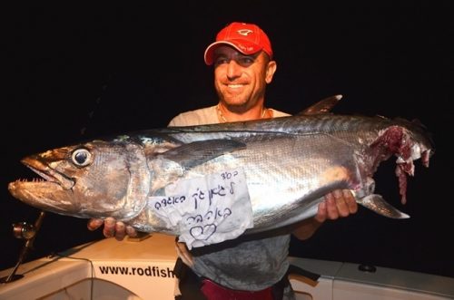 Nice doggy cut by shark at night - Rod Fishing Club - Rodrigues Island - Mauritius - Indian Ocean