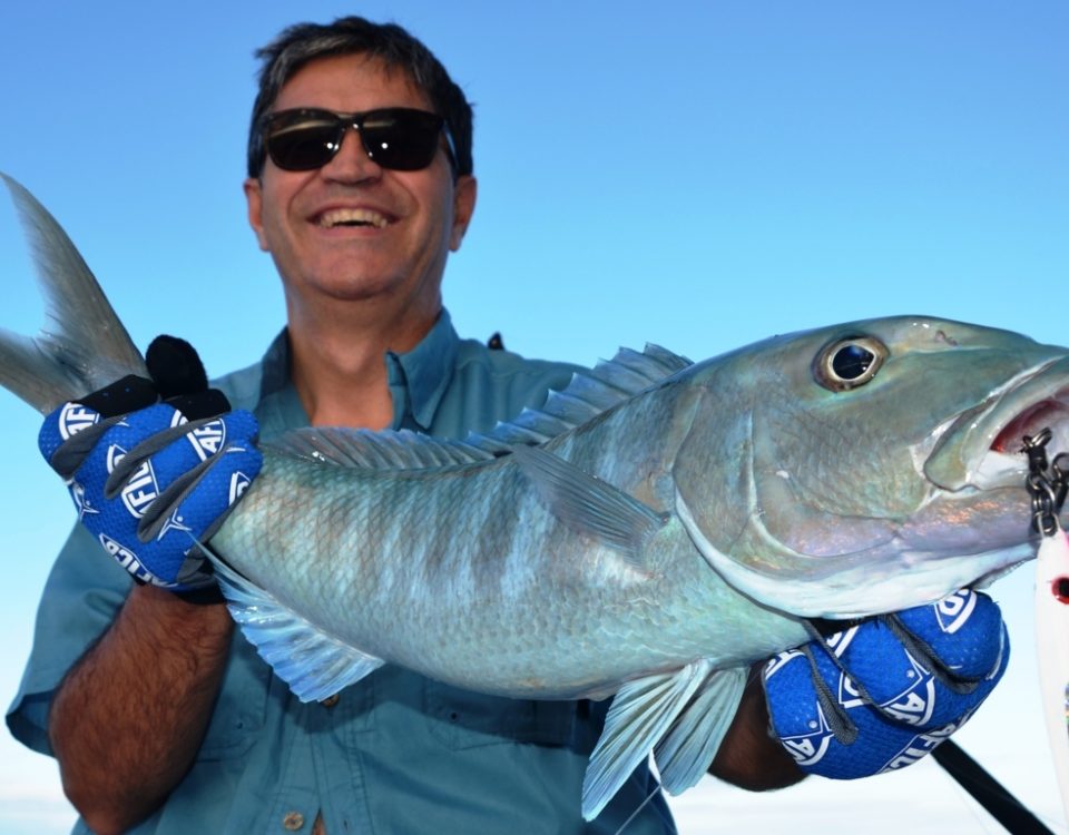 Poisson poulet ou Aprion virescens - Rod Fishing Club - Ile Rodrigues - Maurice - Océan Indien