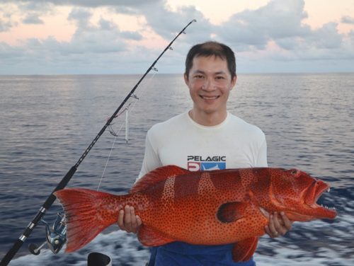 Red coral trout - Rod Fishing Club - Rodrigues Island - Mauritius - Indian Ocean