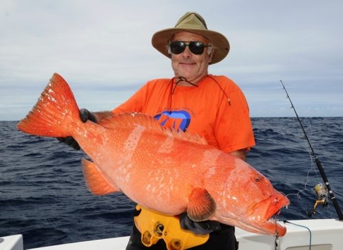 Red coral trout on jigging - Rod Fishing Club - Rodrigues Island - Mauritius - Indian Ocean