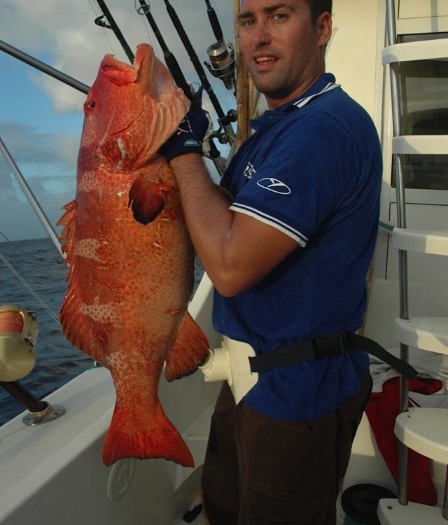 Red coral trout on jigging - Rod Fishing Club - Rodrigues Island - Mauritius - Indian Ocean