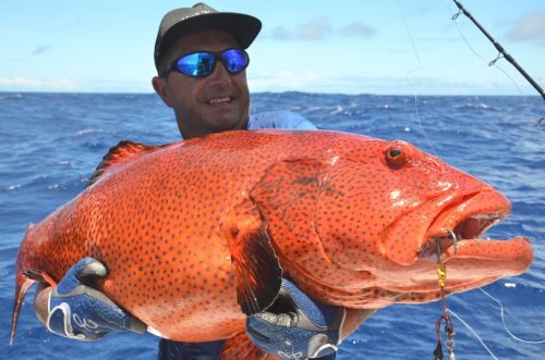 Red coral trout on jigging - Rod Fishing Club - Rodrigues Island - Mauritius - Indian Ocean