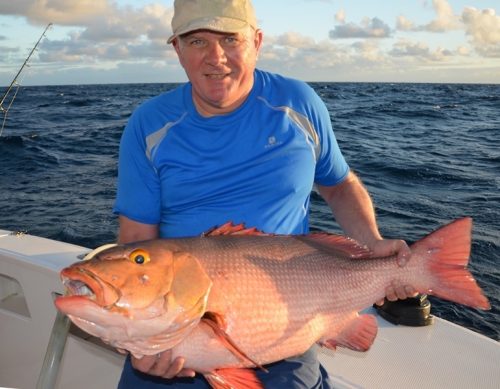 Red snapper on baiting - Rod Fishing Club - Rodrigues Island - Mauritius - Indian Ocean