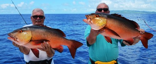 Red snappers - Rod Fishing Club - Rodrigues Island - Mauritius - Indian Ocean