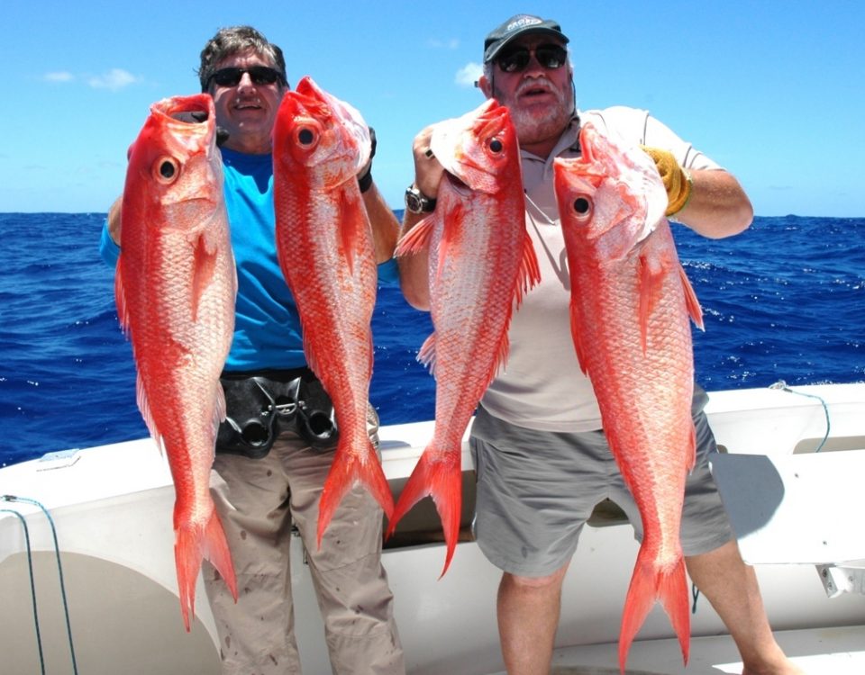 Rosy job fish or flame snapper or Etelis coruscans - Rod Fishing Club - Rodrigues Island - Mauritius - Indian Ocean