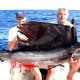 Sailfish - Rod Fishing Club - Rodrigues Island - Mauritius - Indian Ocean