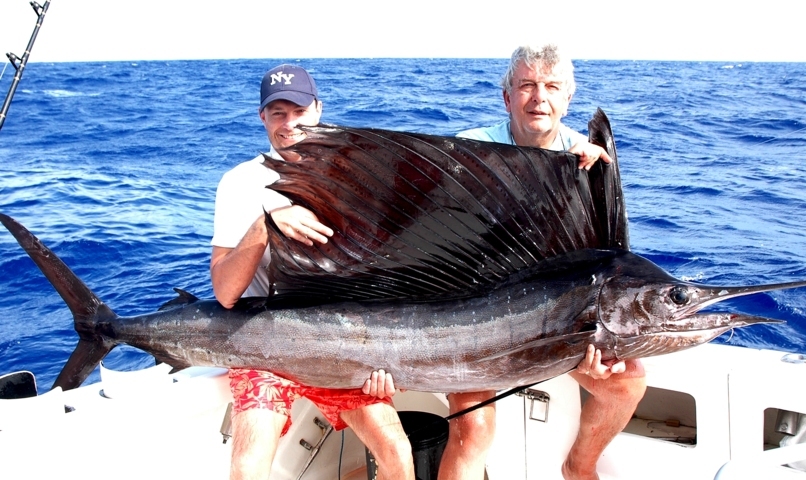 Sailfish - Rod Fishing Club - Rodrigues Island - Mauritius - Indian Ocean