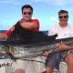 Sailfish caught on trolling - Rod Fishing Club - Rodrigues Island - Mauritius - Indian Ocean