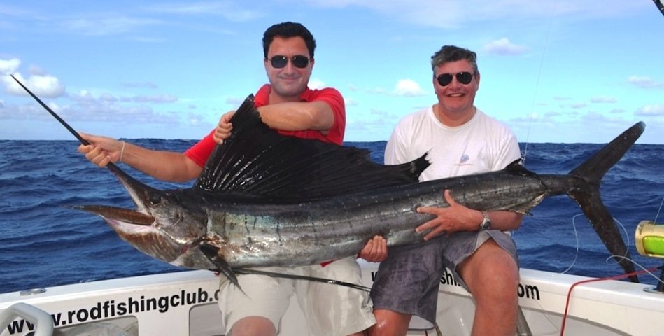 Sailfish caught on trolling - Rod Fishing Club - Rodrigues Island - Mauritius - Indian Ocean