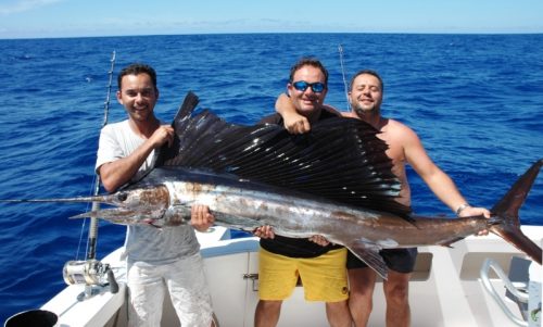 Sailfish on trolling - Rod Fishing Club - Rodrigues Island - Mauritius - Indian Ocean