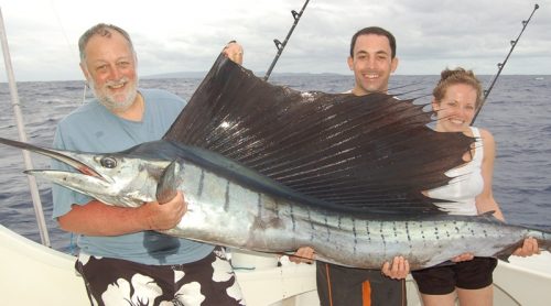 Sailfish on trolling - Rod Fishing Club - Rodrigues Island - Mauritius - Indian Ocean