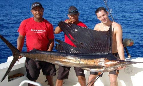 Sailfish on trolling - Rod Fishing Club - Rodrigues Island - Mauritius - Indian Ocean