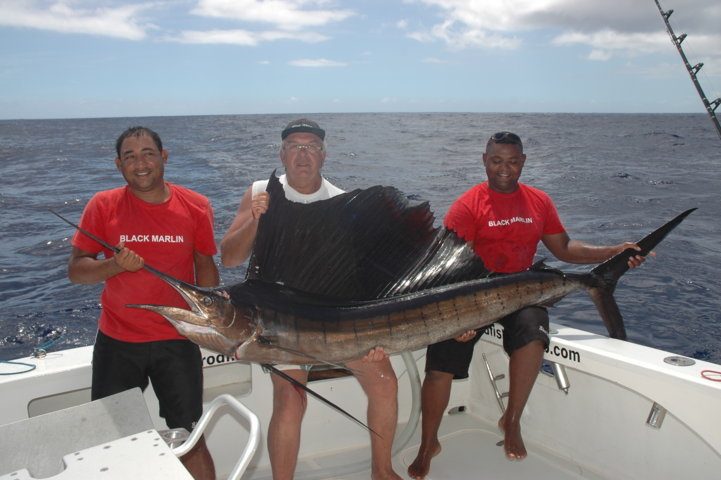 Sailfish on trolling for Maurice - Rod Fishing Club - Rodrigues Island - Mauritius - Indian Ocean