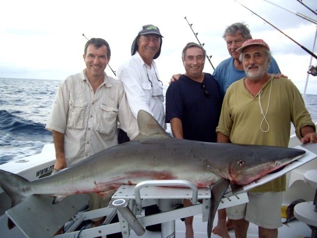 Shark on baiting - Rod Fishing Club - Rodrigues Island - Mauritius - Indian Ocean