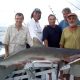 Shark on baiting - Rod Fishing Club - Rodrigues Island - Mauritius - Indian Ocean