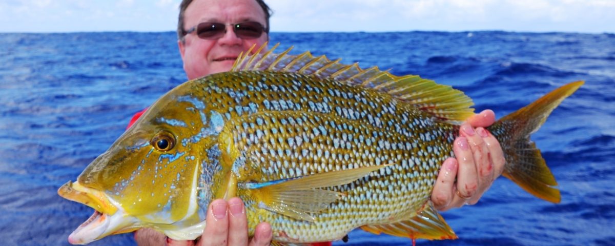 Spangled emperor or Lethrinus nebulosus - Rod Fishing Club - Rodrigues Island - Mauritius - Indian Ocean