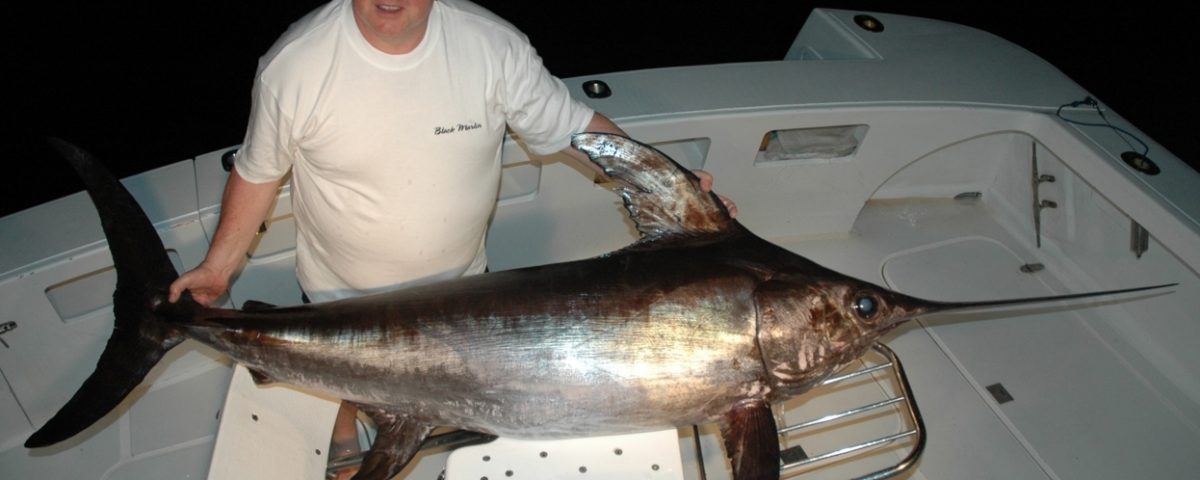 Swordfish or Xiphias gladius - Rod Fishing Club - Rodrigues Island - Mauritius - Indian Ocean