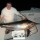 Swordfish or Xiphias gladius - Rod Fishing Club - Rodrigues Island - Mauritius - Indian Ocean