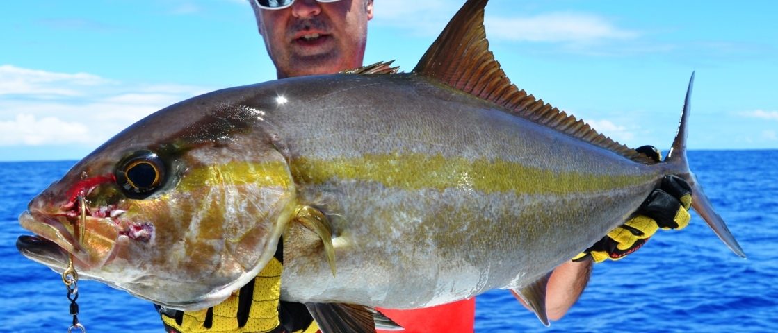 Sériole ou Seriola dumerili - Rod Fishing Club - Ile Rodrigues - Maurice - Océan Indien