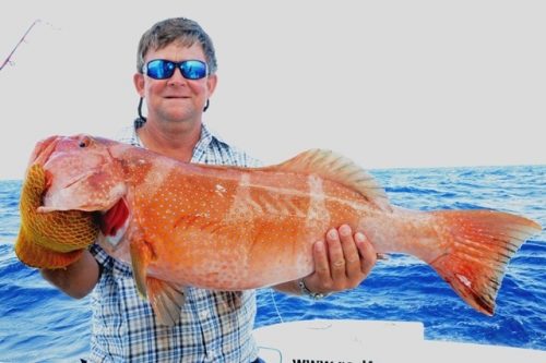 Terry and red coral trout caught on jigging - Rod Fishing Club - Rodrigues Island - Mauritius - Indian Ocean