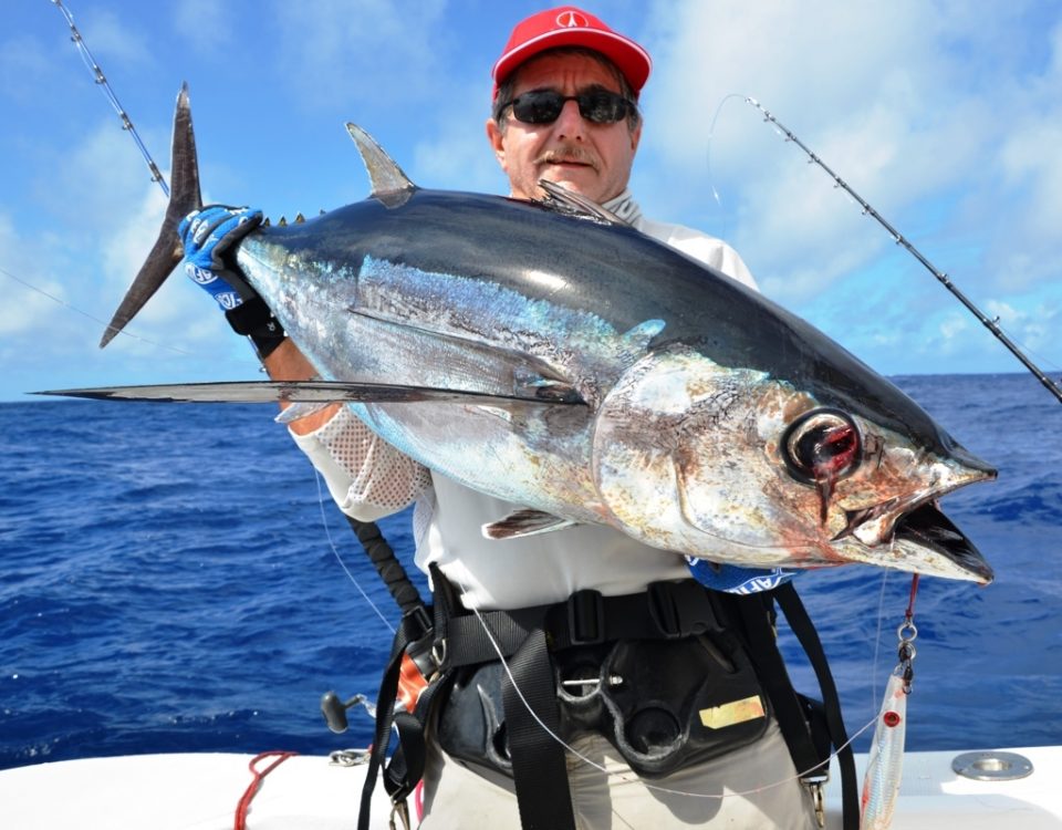 Thon germon ou Thunnus tonggol - Rod Fishing Club - Ile Rodrigues - Maurice - Océan Indien