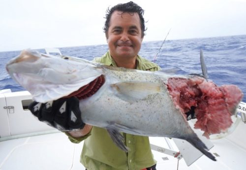 Trevally eaten by shark - Rod Fishing Club - Rodrigues Island - Mauritius - Indian Ocean