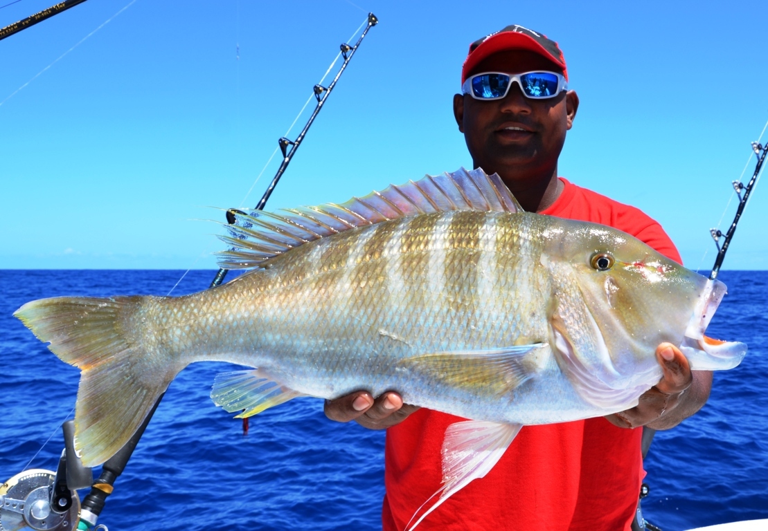 Variété de capitaine en pêche à la palangrotte à bord de Black Marlin - Rod Fishing Club - Ile Rodrigues - Maurice - Océan Indien-