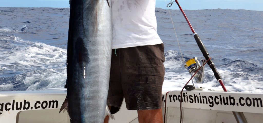 Wahoo or Acanthocybium solandri - Rod Fishing Club - Rodrigues Island - Mauritius - Indian Ocean