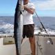 Wahoo or Acanthocybium solandri - Rod Fishing Club - Rodrigues Island - Mauritius - Indian Ocean